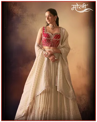 Morni - Suits, Indowestern Dresses, and Gowns — work photo 4
