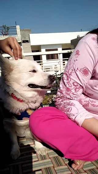 Toor Boutique — work photo 4