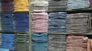 Royal Collection — work photo 5