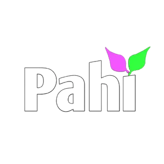 Pahi Ladies Tailors — work photo 3