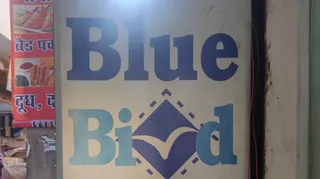 Blue Bird Tailor — photo 2